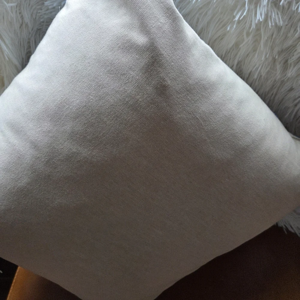 Crate&Barrel Accent Pillow